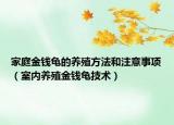 家庭金錢龜?shù)酿B(yǎng)殖方法和注意事項（室內(nèi)養(yǎng)殖金錢龜技術）