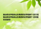 煙臺職業(yè)學院和山東商務職業(yè)學院那個(好介紹 煙臺職業(yè)學院和山東商務職業(yè)學院那個 好詳細情況如何)