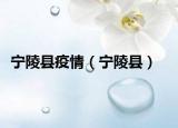 寧陵縣疫情（寧陵縣）