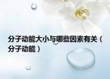 分子動(dòng)能大小與哪些因素有關(guān)（分子動(dòng)能）