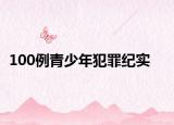 100例青少年犯罪紀(jì)實