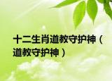 十二生肖道教守護(hù)神（道教守護(hù)神）