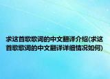 求這首歌歌詞的中文翻譯介紹(求這首歌歌詞的中文翻譯詳細情況如何)