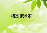 楊杰 武術(shù)家