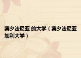 賓夕法尼亞 的大學(xué)（賓夕法尼亞加利大學(xué)）