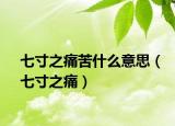 七寸之痛苦什么意思（七寸之痛）