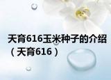 天育616玉米種子的介紹（天育616）