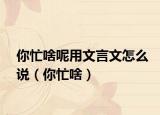 你忙啥呢用文言文怎么說（你忙啥）