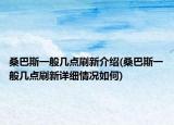 桑巴斯一般幾點刷新介紹(桑巴斯一般幾點刷新詳細(xì)情況如何)