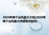 2020年哪個臺風最大介紹(2020年哪個臺風最大詳細情況如何)