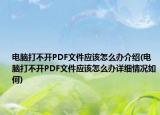 電腦打不開PDF文件應(yīng)該怎么辦介紹(電腦打不開PDF文件應(yīng)該怎么辦詳細(xì)情況如何)