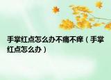 手掌紅點(diǎn)怎么辦不痛不癢（手掌紅點(diǎn)怎么辦）