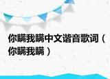 你瞞我瞞中文諧音歌詞（你瞞我瞞）
