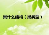 巢什么結(jié)構(gòu)（巢類(lèi)型）