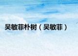 吳敏菲樸樹（吳敏菲）