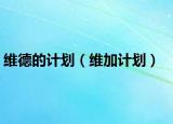 維德的計(jì)劃（維加計(jì)劃）