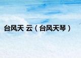 臺風(fēng)天 云（臺風(fēng)天琴）