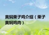 黃燜栗子雞介紹（栗子黃燜雞肉）