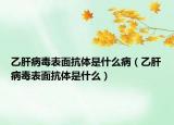 乙肝病毒表面抗體是什么?。ㄒ腋尾《颈砻婵贵w是什么）