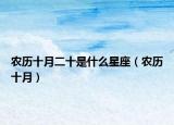 農(nóng)歷十月二十是什么星座（農(nóng)歷十月）