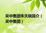 吳中集團朱天曉簡介（吳中集團）