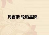 瑪吉斯 輪胎品牌