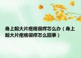 身上起大片疙瘩很癢怎么辦（身上起大片疙瘩很癢怎么回事）