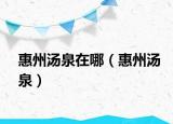 惠州湯泉在哪（惠州湯泉）