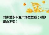 對你愛永不變廣場舞舞蹈（對你愛永不變）