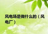 風(fēng)電場(chǎng)是做什么的（風(fēng)電廠）