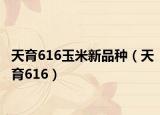 天育616玉米新品種（天育616）