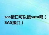 sas接口可以接sata嗎（SAS接口）