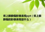 腎上腺腺瘤影像表現(xiàn)ppt（腎上腺腺瘤的影像表現(xiàn)是什么）