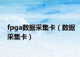 fpga數(shù)據(jù)采集卡（數(shù)據(jù)采集卡）