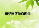 茶圣田字嬌百媚生