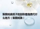 梨園戲曲班子的別稱(chēng)是指唐代什么地方（梨園戲曲）
