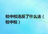 校中校違反了什么法（校中校）
