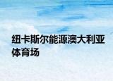 紐卡斯?fàn)柲茉窗拇罄麃嗴w育場(chǎng)