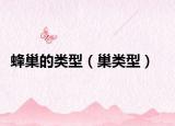 蜂巢的類型（巢類型）
