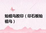 始祖鳥膠印（印石板始祖鳥）