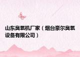 山東臭氧機廠家（煙臺豪爾臭氧設備有限公司）