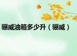 驪威油箱多少升（驪威）