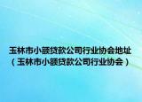 玉林市小額貸款公司行業(yè)協(xié)會地址（玉林市小額貸款公司行業(yè)協(xié)會）