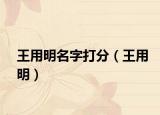 王用明名字打分（王用明）