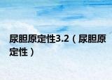 尿膽原定性3.2（尿膽原定性）