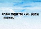 歐洲杯,英格蘭對(duì)意大利（英格蘭-意大利杯）