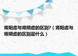 腎陽(yáng)虛與腎陰虛的區(qū)別?（腎陽(yáng)虛與腎陰虛的區(qū)別是什么）