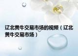 遼北黃牛交易市場的視頻（遼北黃牛交易市場）