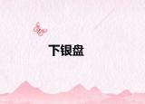 下銀盤