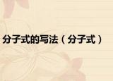 分子式的寫(xiě)法（分子式）